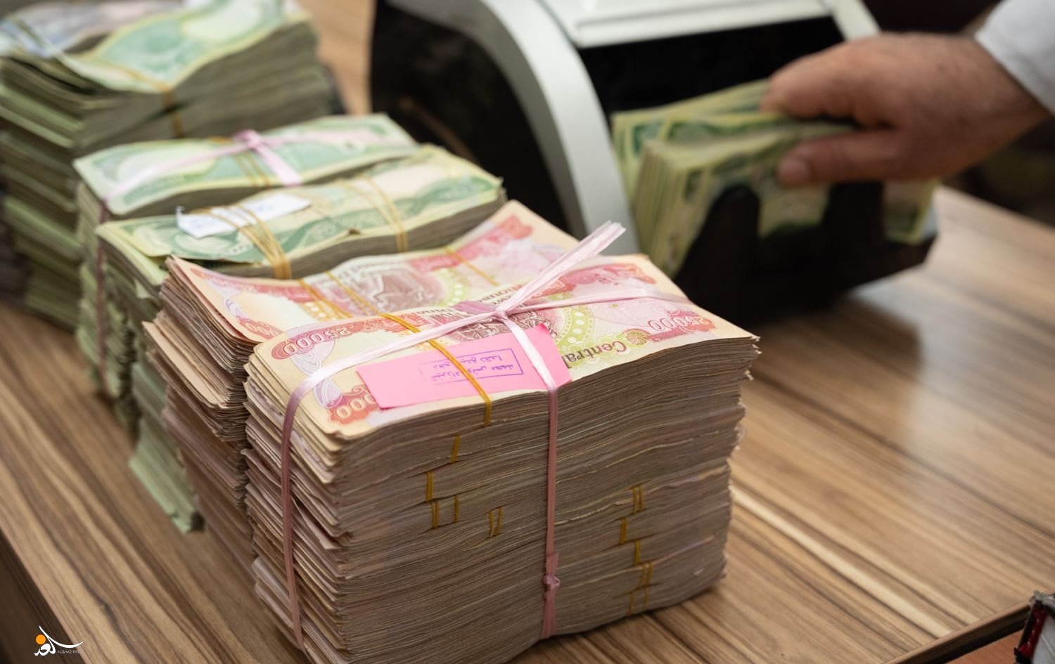 العمل: سنمنح الشباب العاطلين قروضا تصل إلى 350 مليون دينار وبدون كفيل