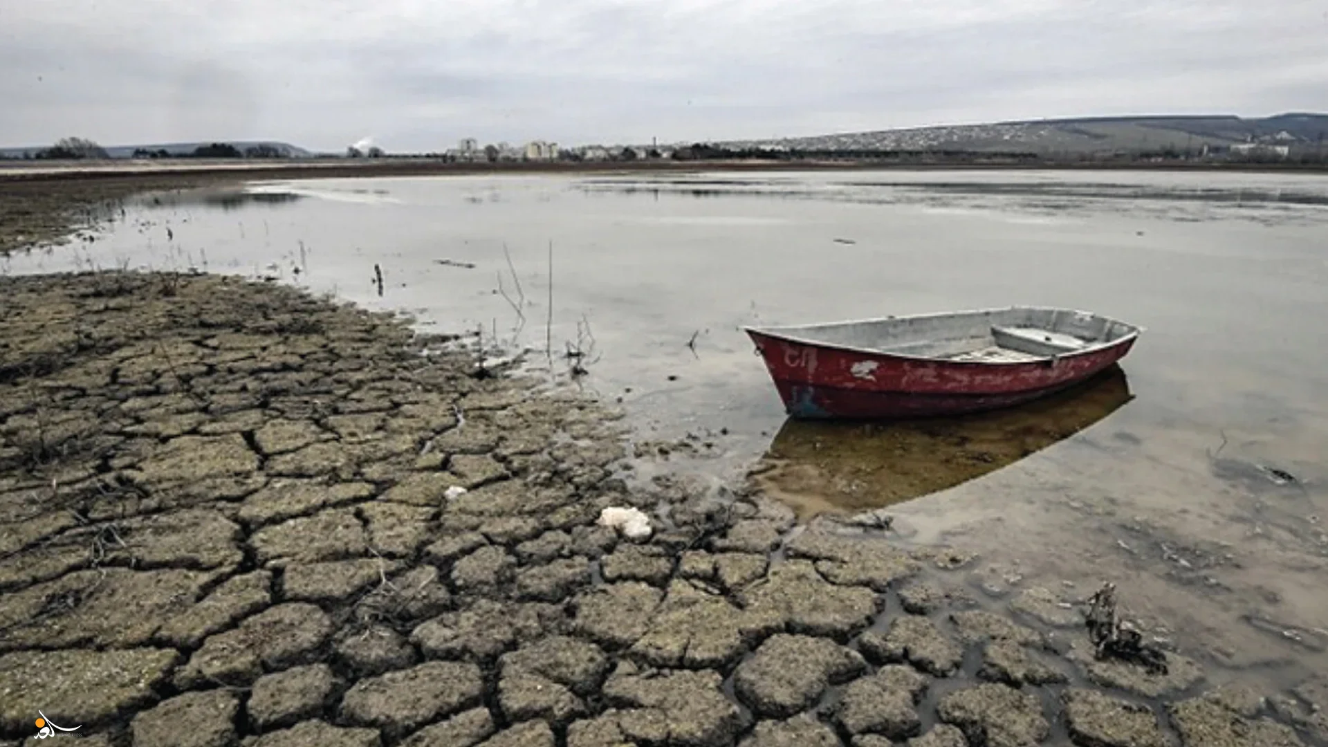 international-news