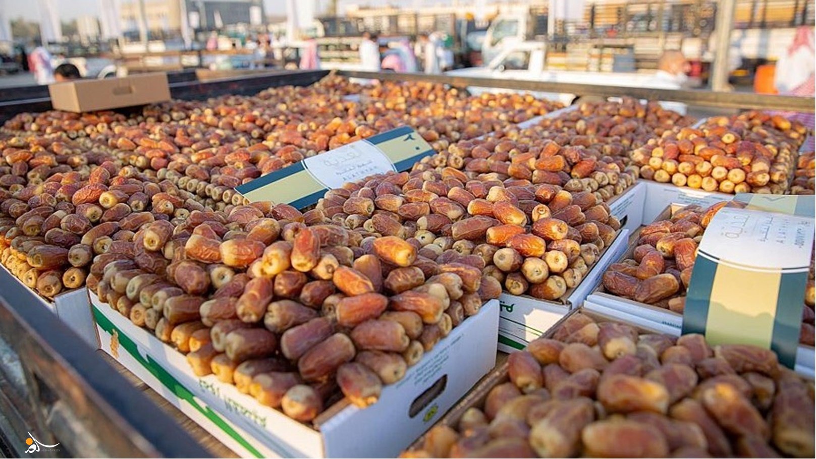 العراق يضع خطة لزيادة صادرات التمور خلال 2025